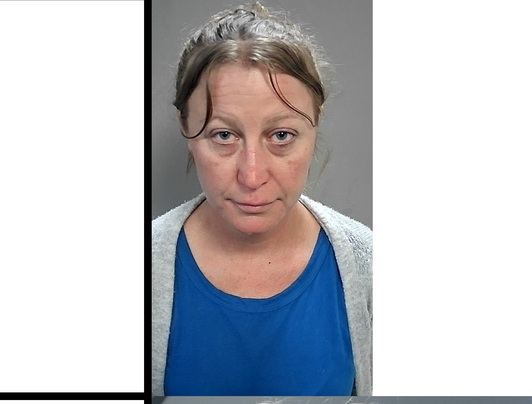 Palace in her original Sedgwick County booking photo after the crash