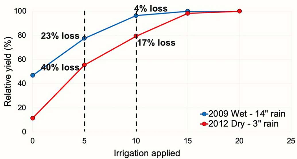 Relative yield of corn in wet year (2009) and dry year (2012) with 0", 5", 10", 15" and 20" of irrigation. Data from Hergert et al., Panhandle Research, Extension and Education Center, University of Nebraska–Lincoln.