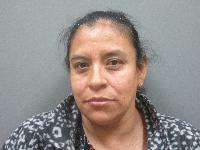 <b>Maria Delosanchill Valdivia-Velazquez - Compulsory Education-Attendance Required</b>