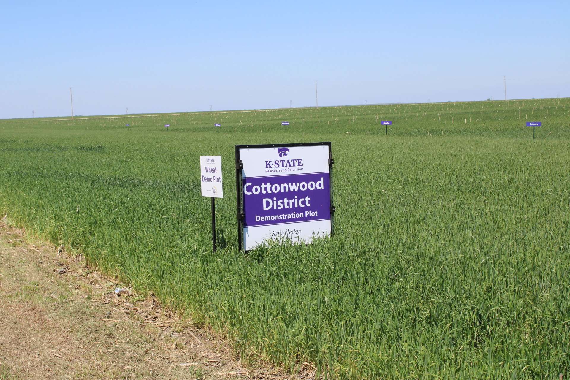 Wheat plot tour sign. File photo by K-State Research and Extension