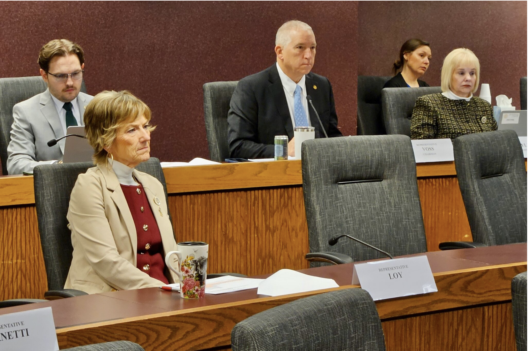 State Rep. John Voss, center, presides over a hearing March 2 on state information technology costs and organization. Voss, R-Cape Girardeau, chairs the House Subcommittee on Appropriations – General Administration. (Rudi Keller/Missouri Independent)