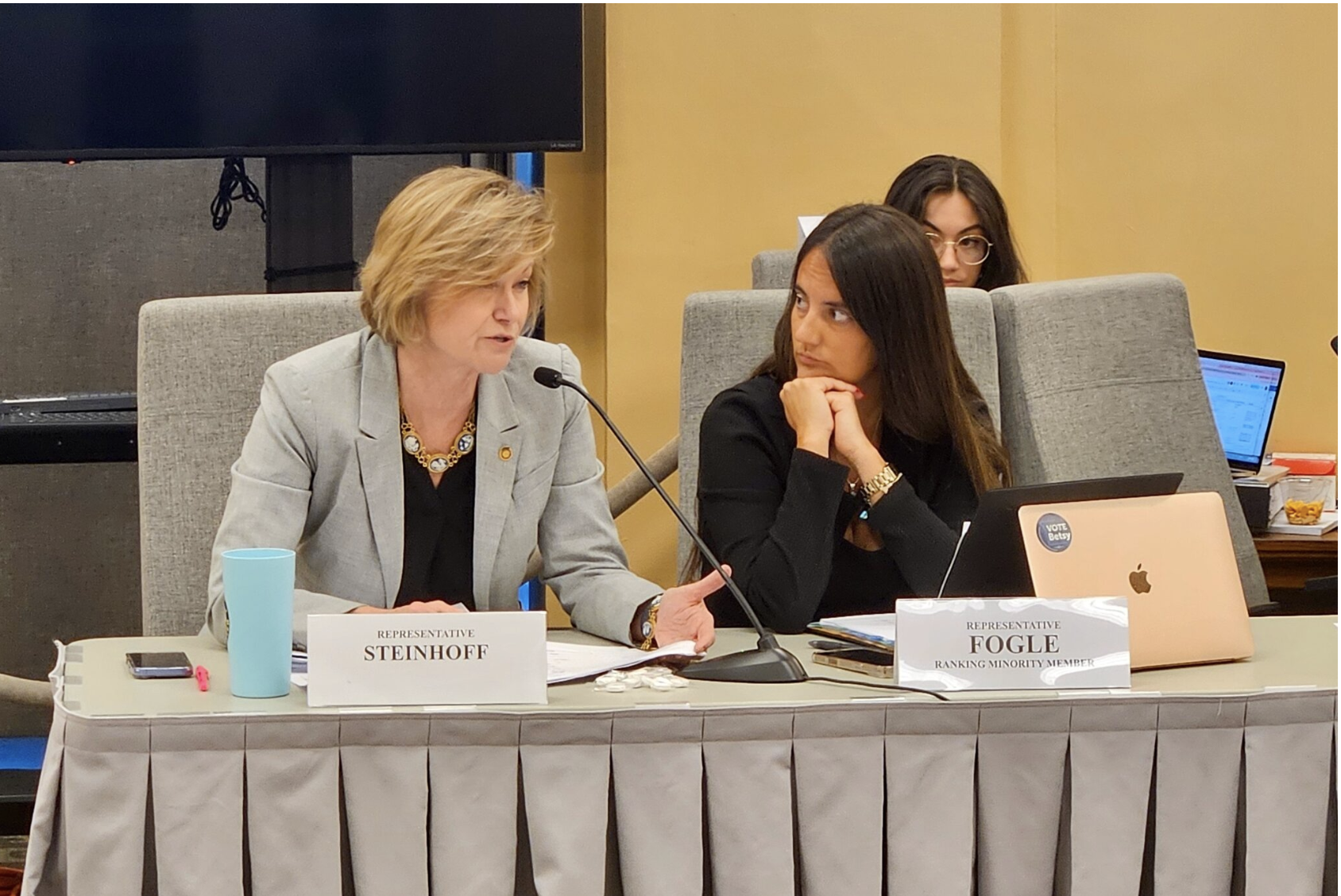 State Rep. Kathy Steinhoff, D-Columbia, left, speaks alongside state Rep. Betsy Fogle of Springfield, ranking Democrat on the House Budget Committee, during the Monday conference committee meeting to set a final Missouri state budget. (Rudi Keller/Missouri Independent)