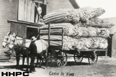Exaggeration Cards - Corn Is King - Bailey Exaggeration Photo - 1909. Courtesy of the Conard-Harmon Collection.