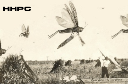 Exaggeration Cards - Rare Sport In The West - 1909 (By Bailey). Courtesy of the Conard-Harmon Collection.