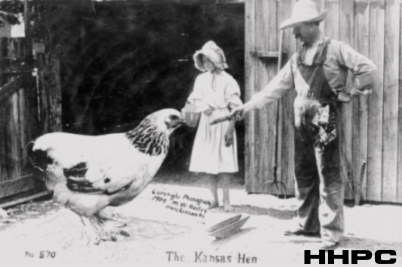 Exaggeration Cards - The Kansas Hen - Bailey Exaggeration Photo - 1909. Courtesy of the Conard-Harmon Collection.