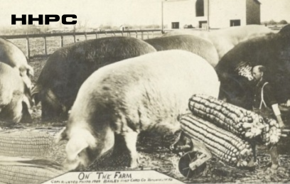 Exaggeration Cards - On The Farm - 1909 - By Bailey. Courtesy of the Conard-Harmon Collection.