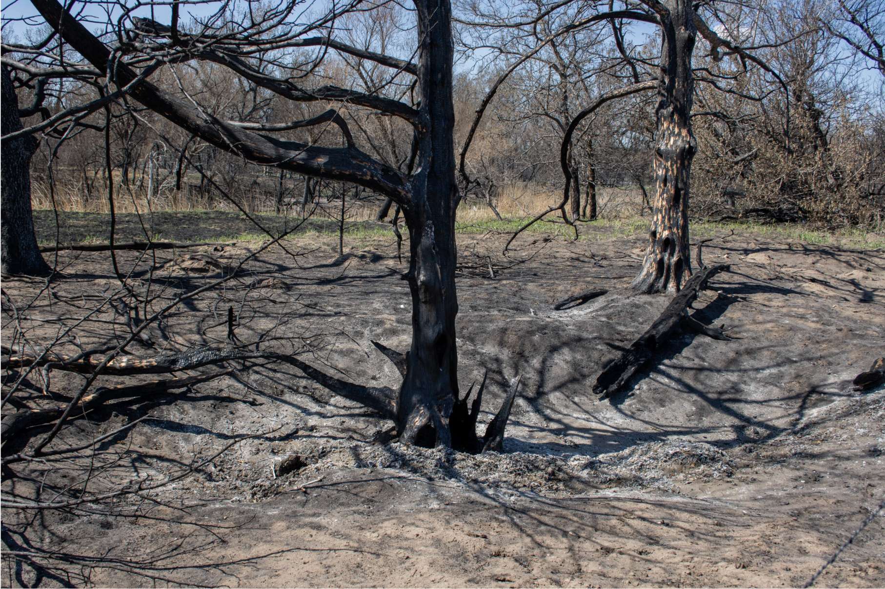A day before a wildfire charred the Arkansas River and surrounding land on April 16, 2027, in Edwards County, the city of Hays had lit a controlled burn nearby. An area between the river and the city of Hays’ R9 Ranch appears here on April 27, 2026. (Photo by Baya Burgess for Kansas Reflector)