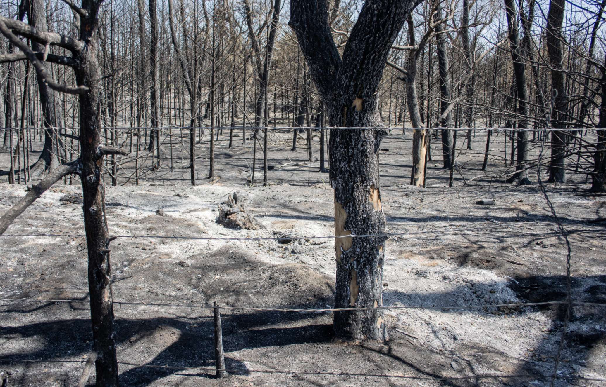  A fire burned the dry brush and trees in the bed of the empty Arkansas River in Edwards County, which appears here on April 27, 2026. (Photo by Baya Burgess for Kansas Reflector)
