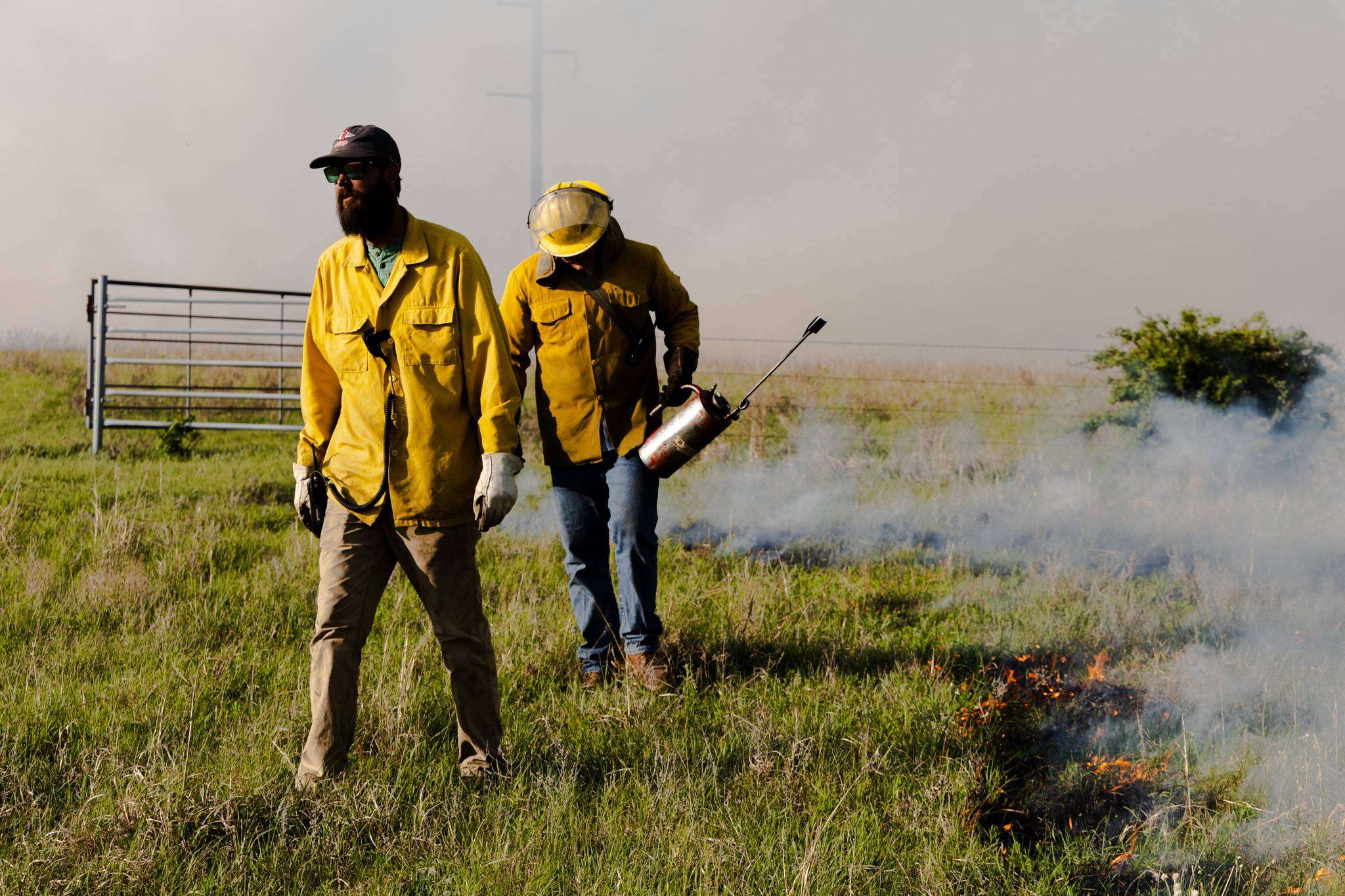 Each spring, controlled burns across the Flint Hills help ranchers balance grassland ecosystems, grazing patterns and cattle productivity. (photo courtesy of K-State)