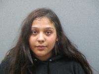 <b>Laycia L Lewis - Domestic Assault 3rd Degree</b>