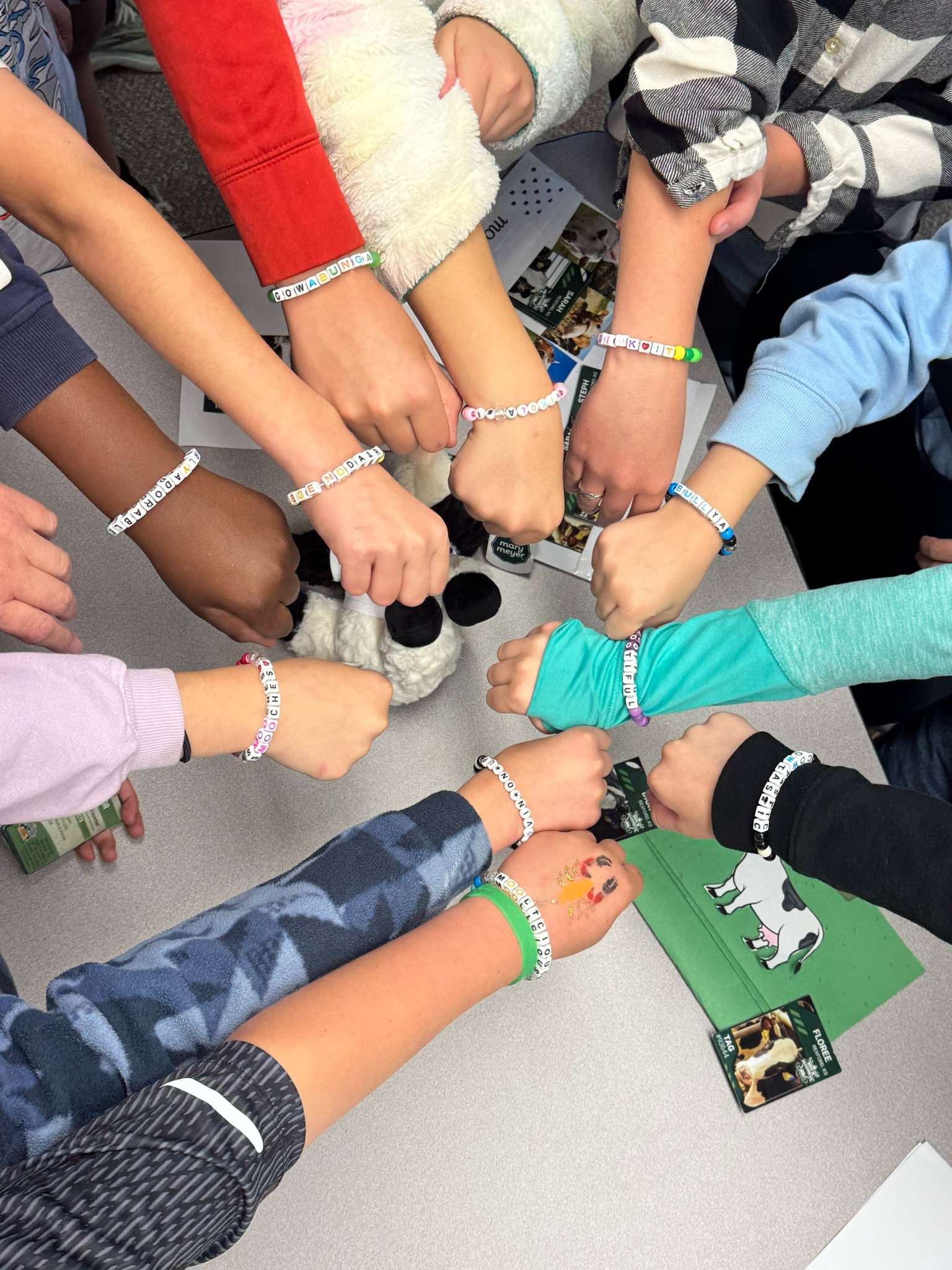 Trading cards and cow-themed bracelets were made by Cheylin 5th graders during "Milk Madness."&nbsp; Courtesy photo