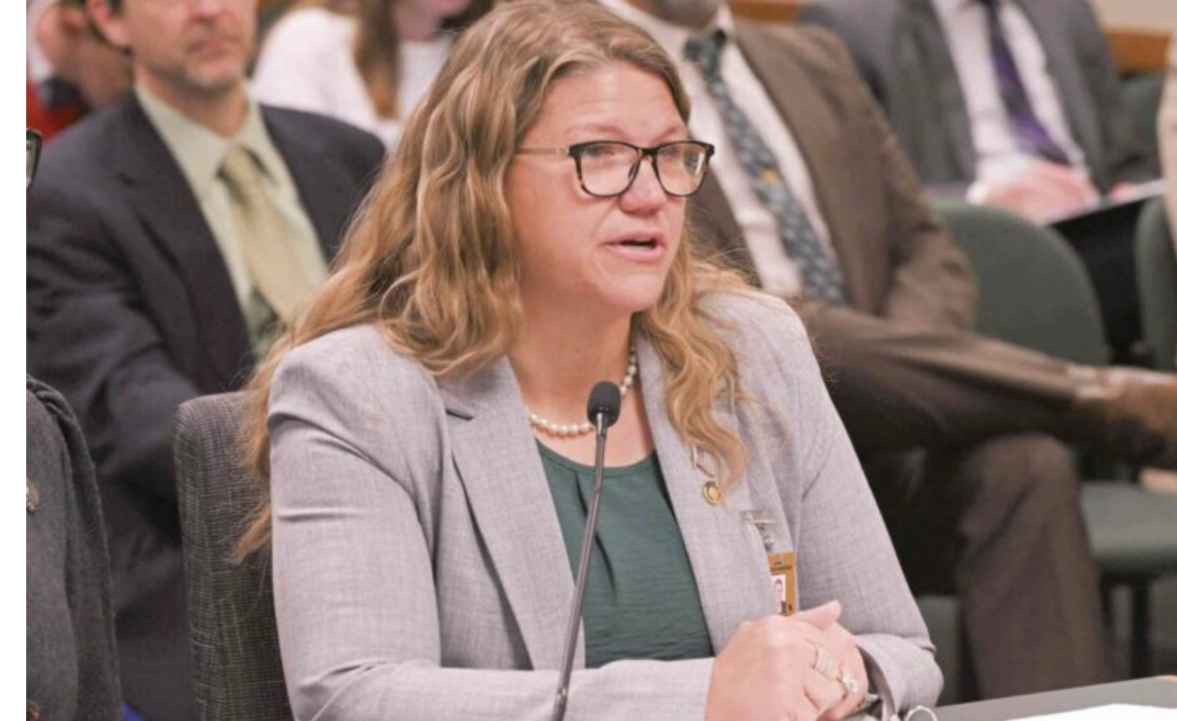 State Rep. Cecelie Williams, a Republican from Dittmer, testifies before a House committee during the 2025 legislative session. (Tim Bommel/Missouri House Communications).
