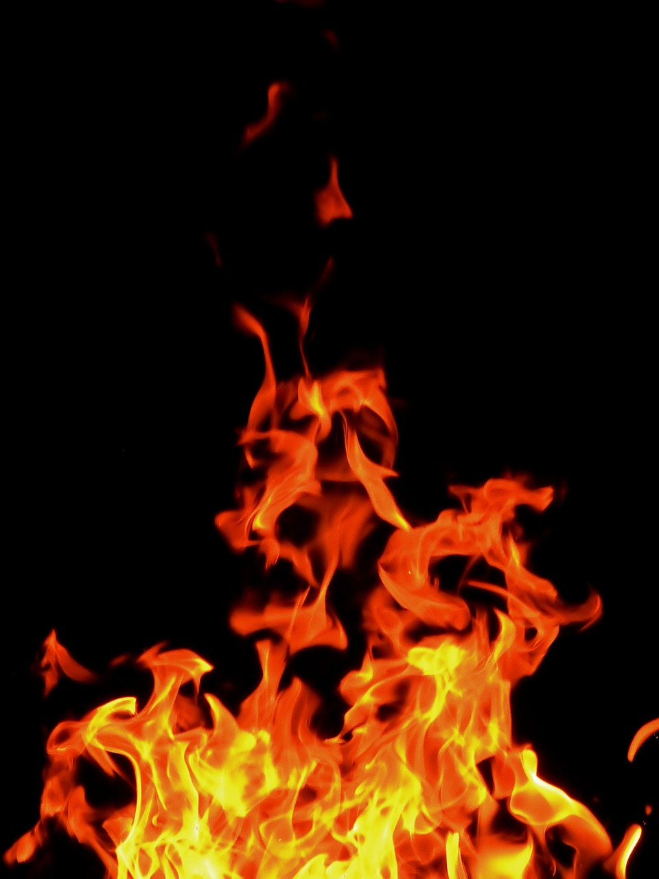 Courtesy of Pixabay