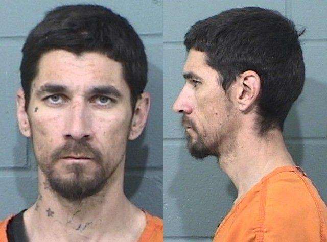 Richard Mickschl, Theft > $1,500 < $25,000 - Pocket picking; Burglary, arrested 05/07