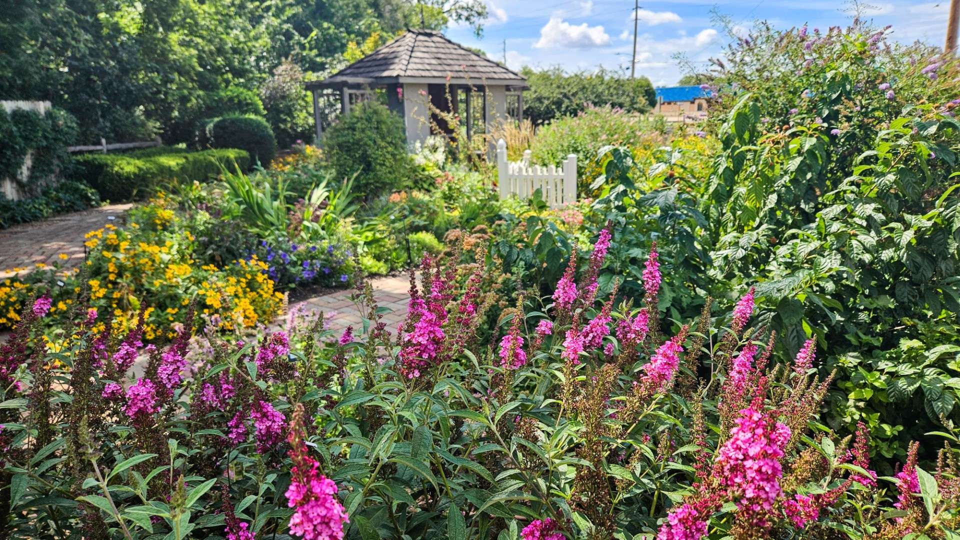 The Demonstration Garden (across from Kenwood Cove) - Photo,&nbsp;<i>K-State Extension Central Kansas District</i>