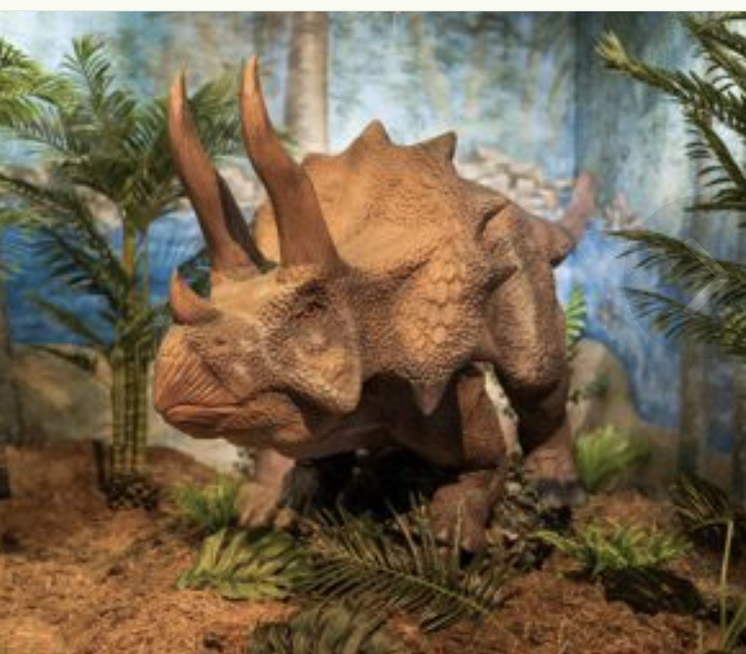 Flint Hills Discovery Center&nbsp;