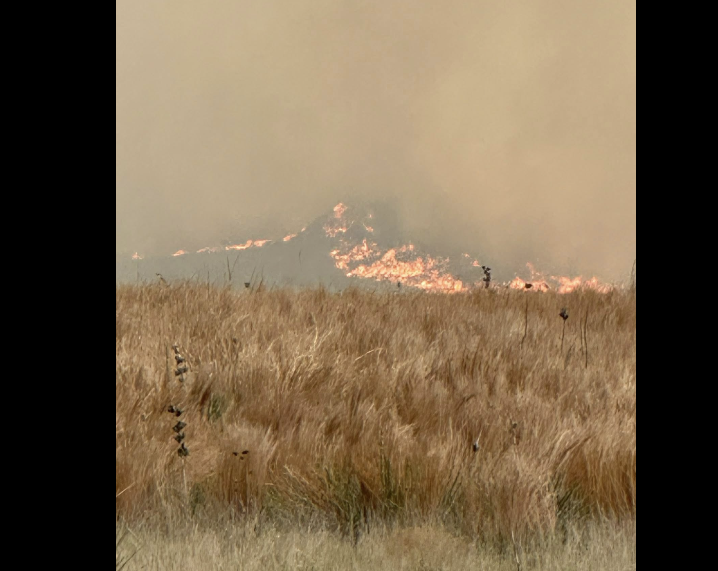 Governor declares disaster emergency for SW Kansas wildfires