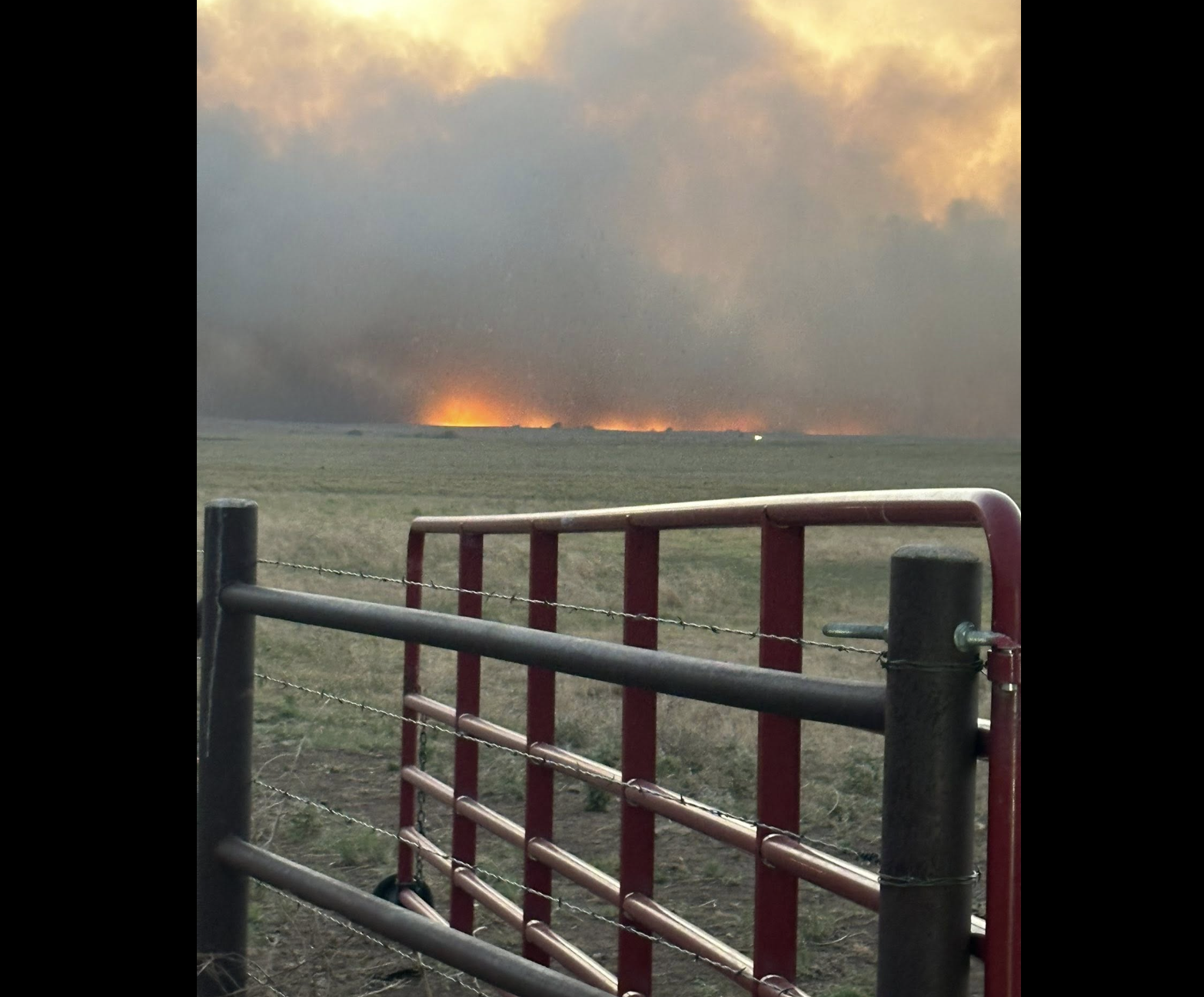 Photo Courtesy of Kansas Forest Service