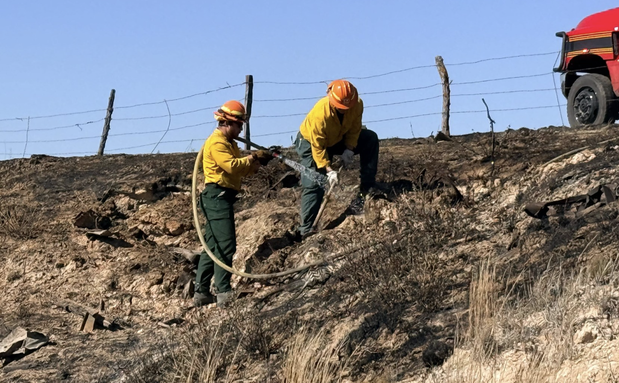 Photo Kansas Forest Service