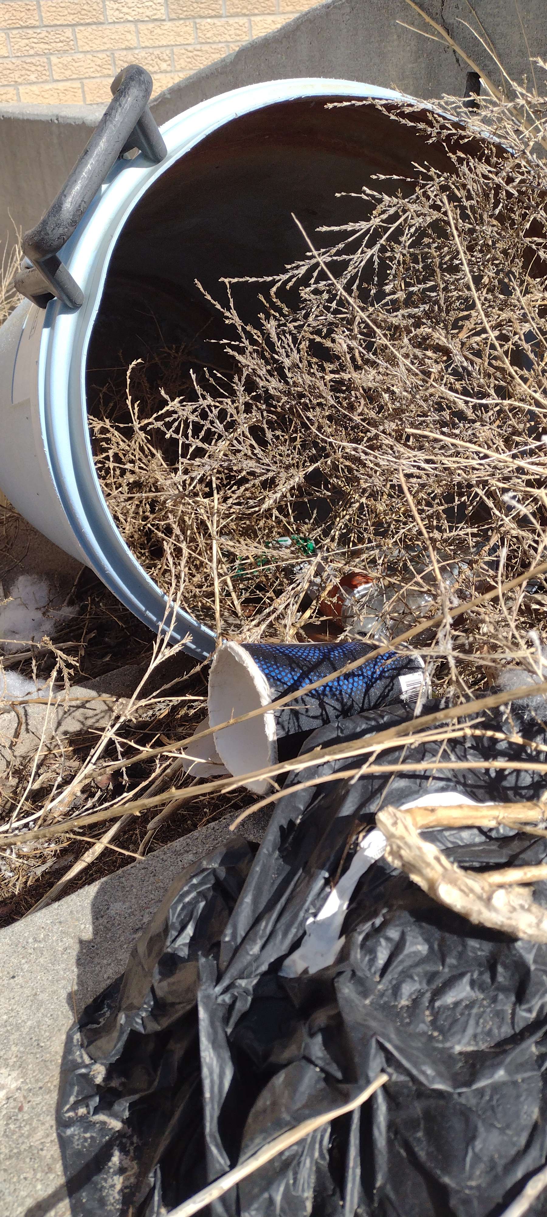 Tumbleweeds and bits of litter collect around a forgotten trashcan behind a building in Alliance. Eighty-four percent of litter in the USA is under four inches according to a 2026 National Litter Study by Keep America Beautiful.