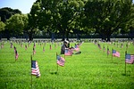 The origins of Memorial Day and how it has evolved