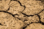 Nebraska Extension Hosts Drought Management Webinar for Beef Producers