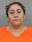 <b>Luisa F Castaneda Flores - Possession of Controlled Substance, Driving Under Influence of Alcohol-1st, False Reporting, Speeding 06-10 MPH Municipal, Possession-Consume Open Alcohol Container, Drive During Revocation-Impound-1st</b>