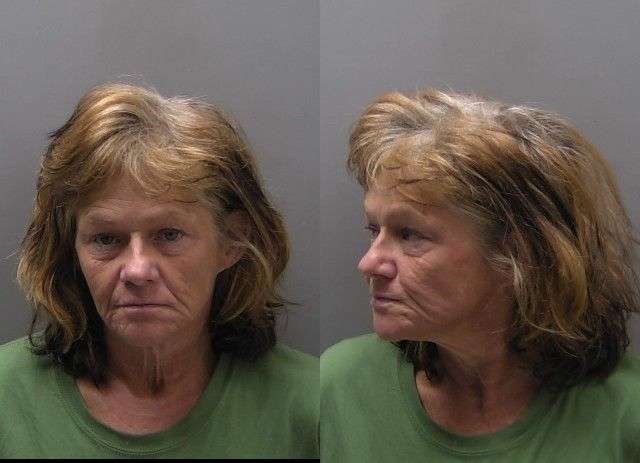 WHISENANT DIANNA BURGLARY NO BOND