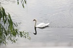 Low Water Affecting Nebraska Boaters This Summer
