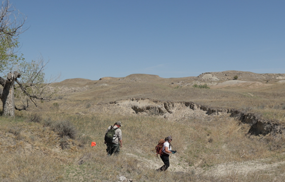 Buffalo Gap National Grassland staff plant flags along preliminary route of proposed trail (courtesy Nebraska National Forests and Grasslands).