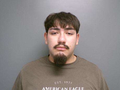 <b>Alejandro Levya - Probation Violation-Assault Cause Bodily Injury</b>
