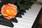 Arts in the Park Concert Series