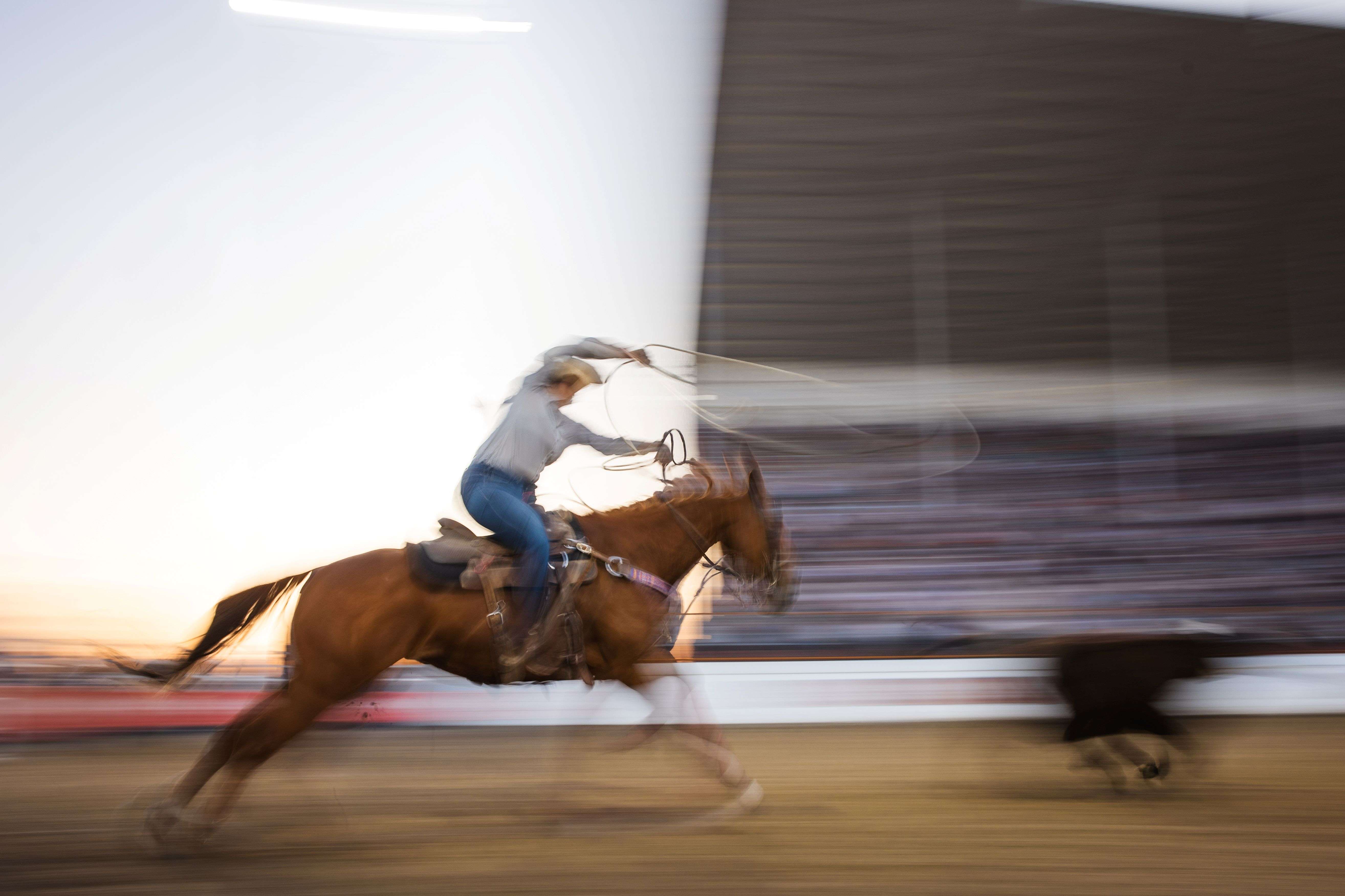 Cowgirls Chase Cheyenne Berths at Buffalo Bill Rodeo