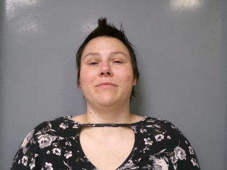 <b>Alexis Ryan - Domestic Assault, Criminal Mischief</b>