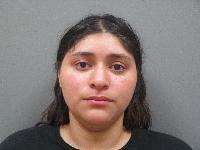<b>Maria Elena Ordaz-Acosta - 3rd Degree Domestic Assault</b>