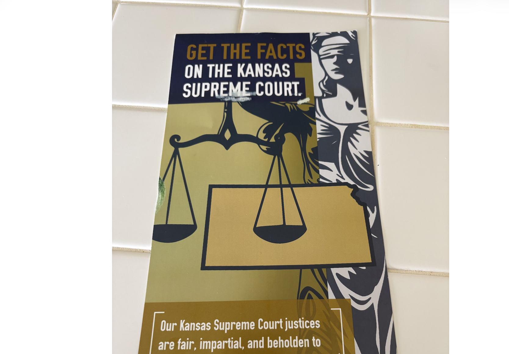 Campaign mailer on the proposed constitutional change on the August 4 ballot-Post Photo