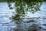 Flash Flood Warning