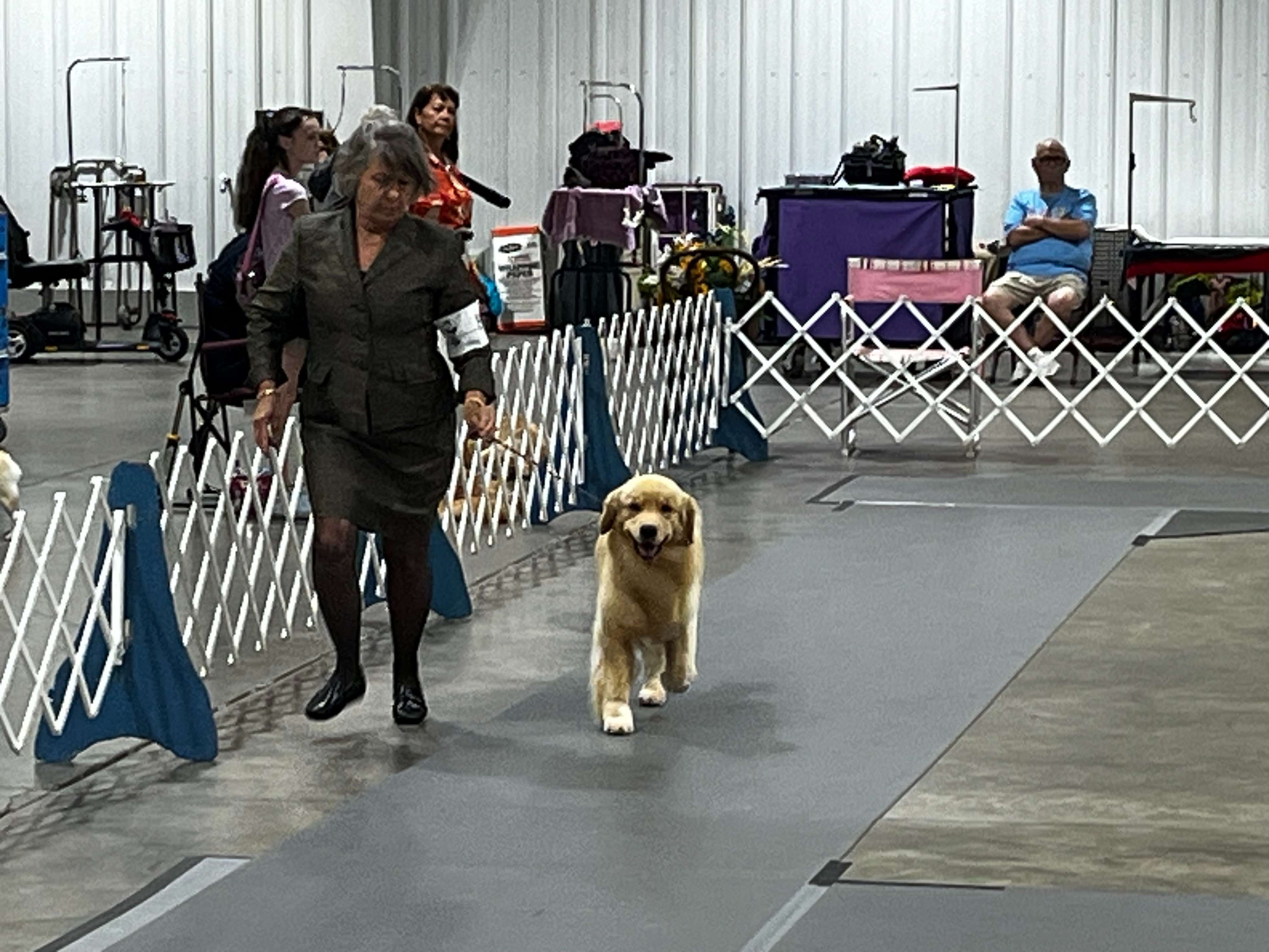 The Sunflower Cluster Dog Shows are this weekend at the Kansas State Fairgrounds (Hutch Post photo)