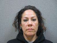 <b>Michelle Hernandez Carrizales - Assault-Domestic-3rd Degree, Cruelty Toward Child</b>