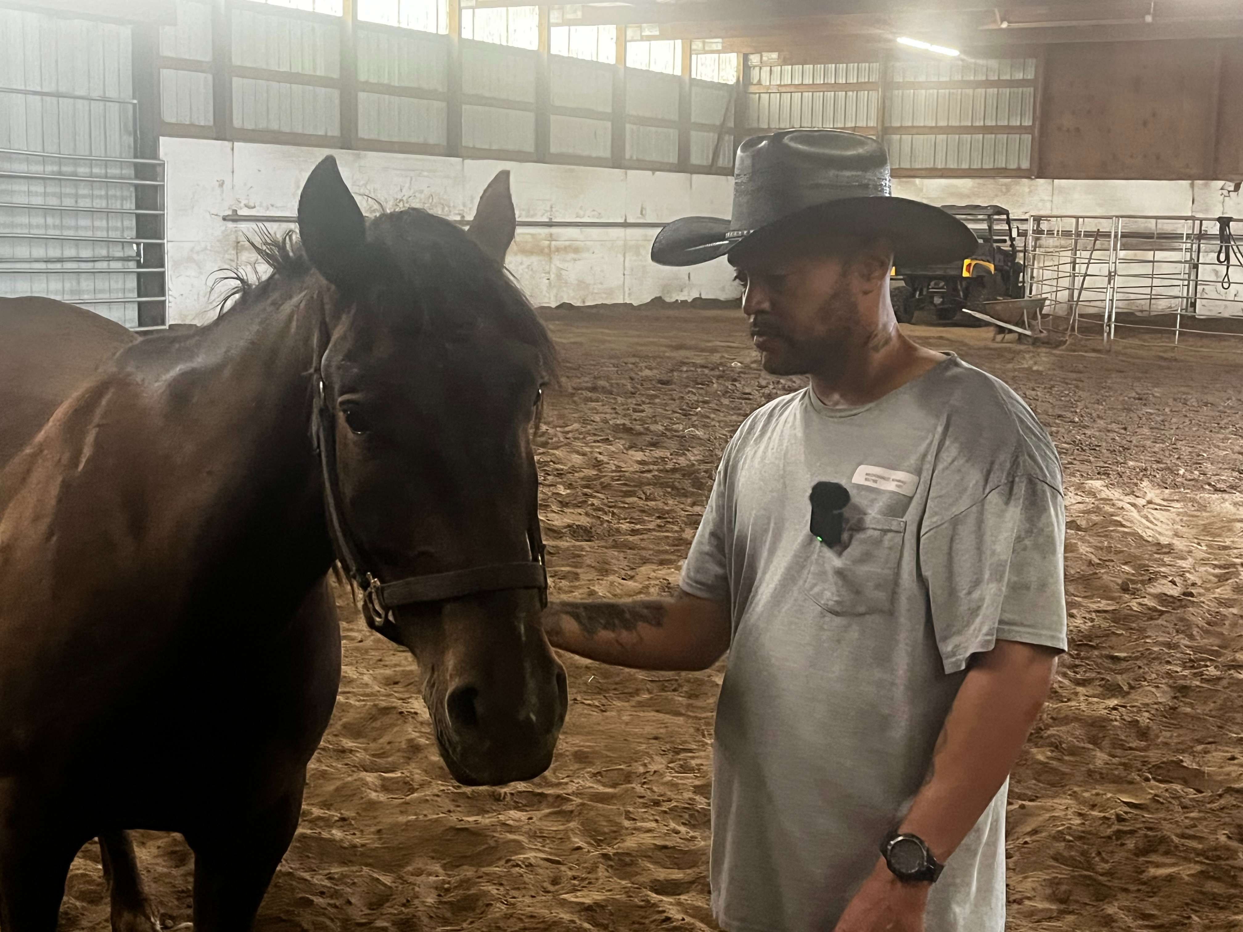 Wild Mustang Training Program (Hutch Post photo)