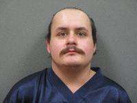 <b>Elio Anthony Nila - Conditional Release Violation X2, 3rd Degree Assault-Cause Bodily Harm, 3rd Degree Assault-Cause Bodily Injury</b>