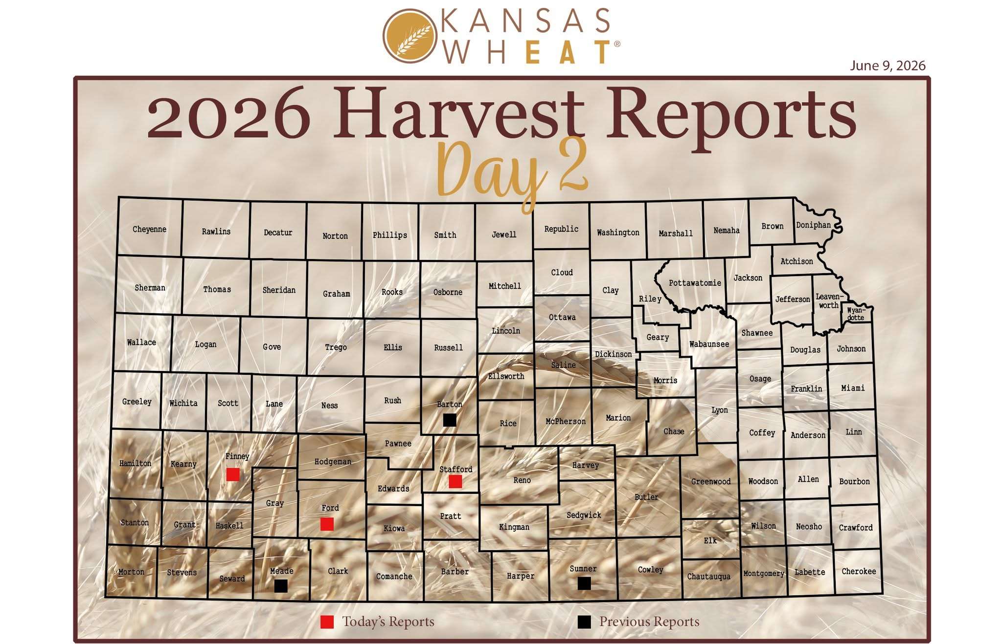 Kansas Wheat Harvest Day 2. (Courtesy Kansas Wheat)