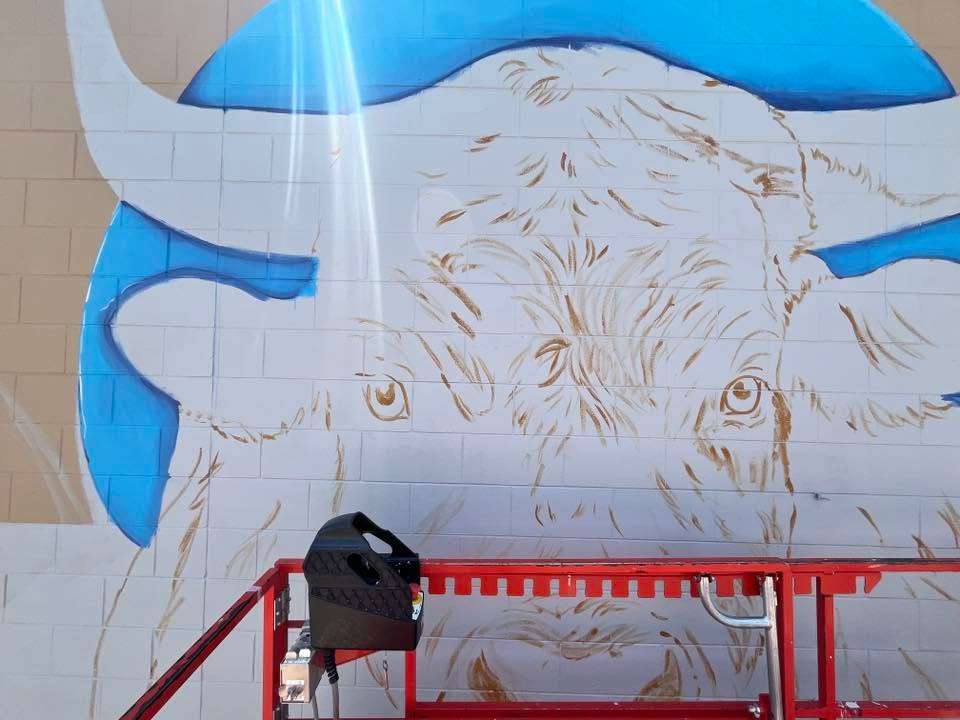 Holly Carlini's newest work is a large bull on the side of Town and Country Western Wear in North Platte, Ne. 