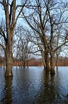 Missouri woman drowns in swift flood waters