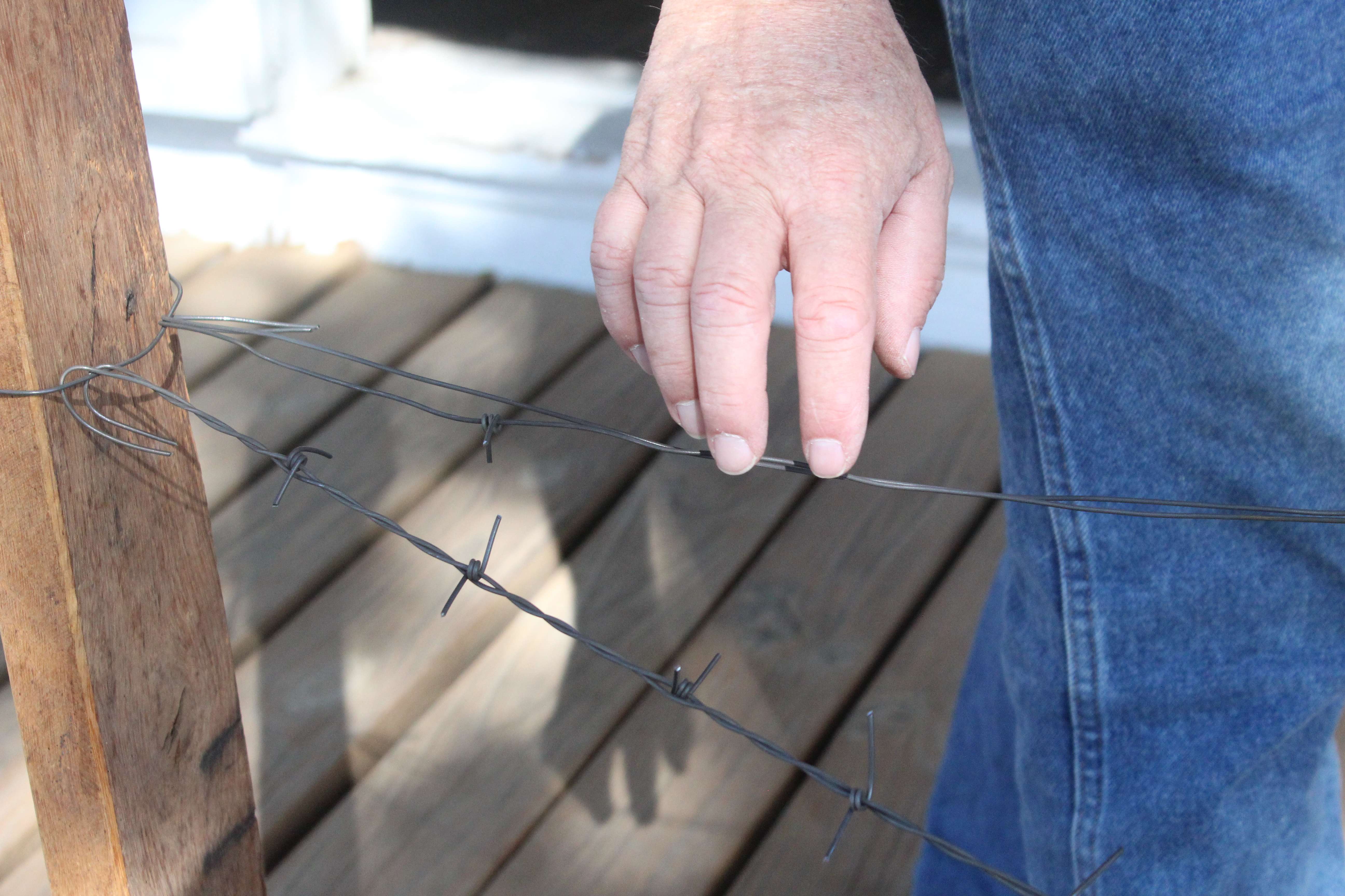 A volunteer demonstrates a machine to make barbed wire. The simple device twisted the bands of wire together, so the barbs would remain in place.&nbsp;Photo by Cristina Janney/Hays Post
