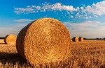 Nebraska Wildfire Hay Recovery Program Supports Ranchers in Need