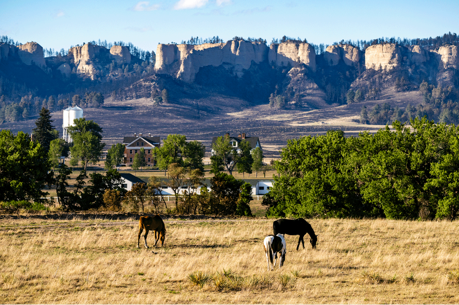 Horses graze in a pasture untouched by the South Fork Fire; a burn scar is visible along the buttes in the distance. Justin Haag, Nebraska Game and Parks Commission