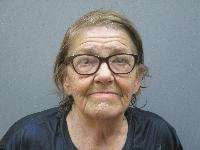 <b>Jeannette Elaine Berks - Hit and Run, Failure to Appear</b>