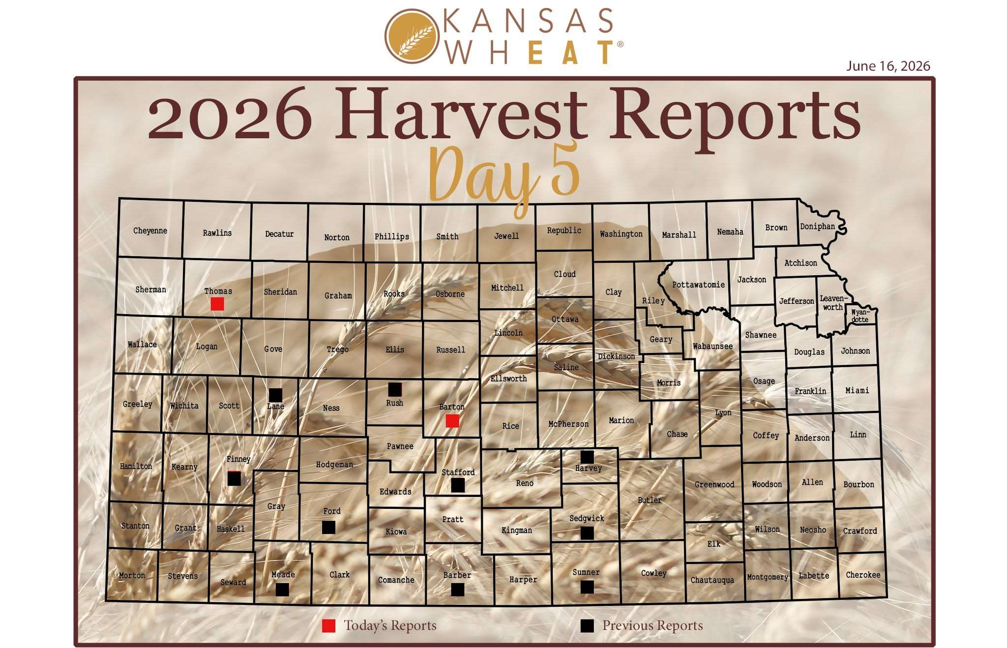 Wheat Harvest Day 5 (Courtesy Kansas Wheat)