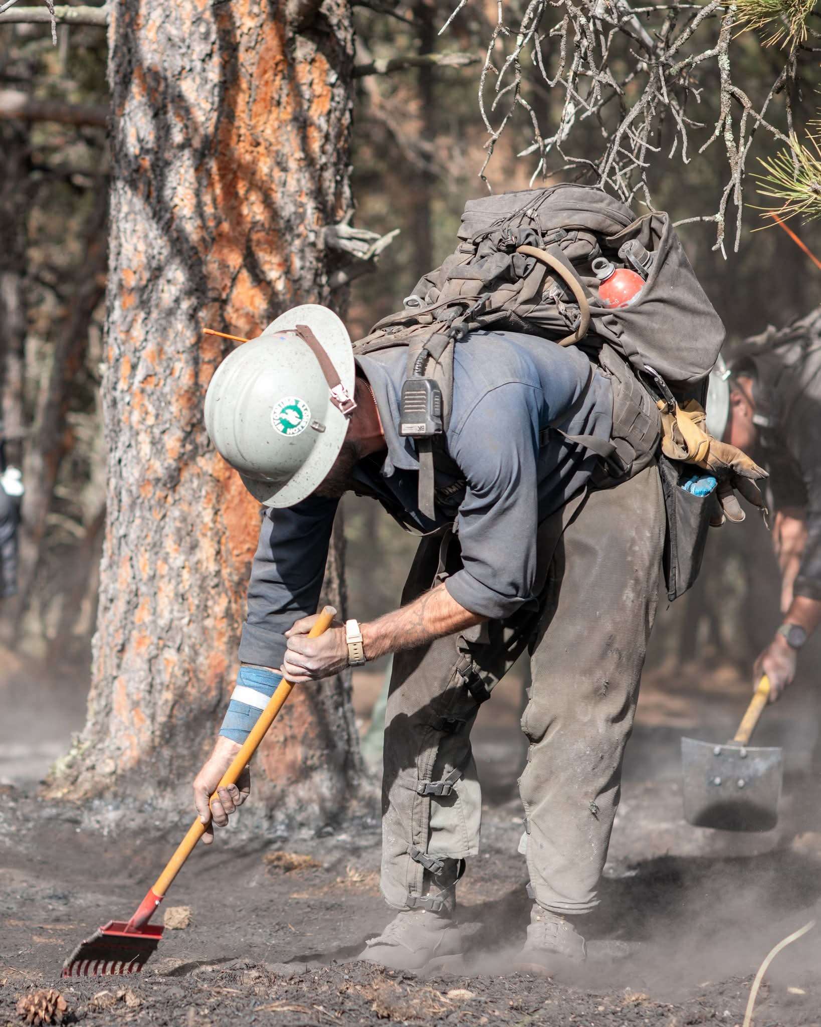 Photo of mop up operations on the South Fork Fire, courtesy of the Wyoming Interagency Hotshots.